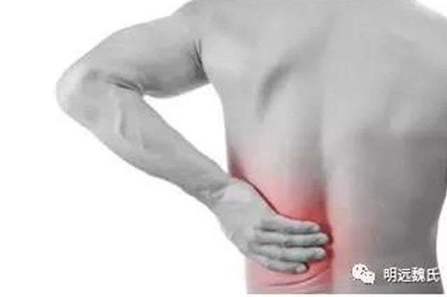 久坐怎么能不腰酸背痛？